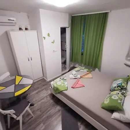 Guest house The Palace Mattiazzi 3*