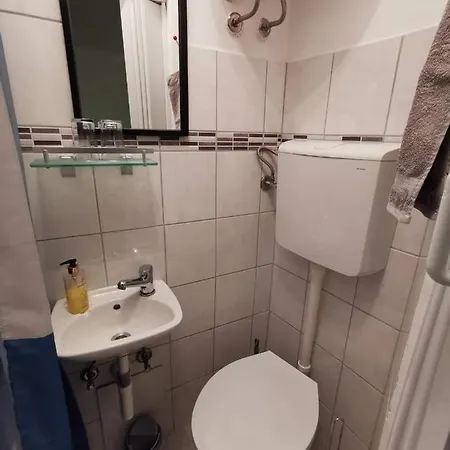 Guest house The Palace Mattiazzi 3*