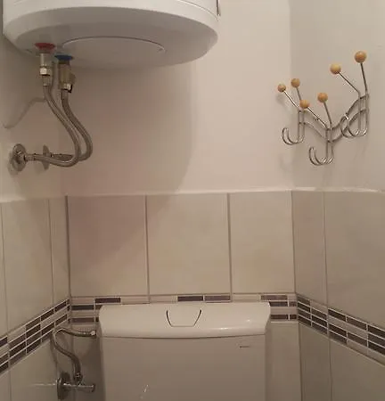 Guest house The Palace Mattiazzi 3*