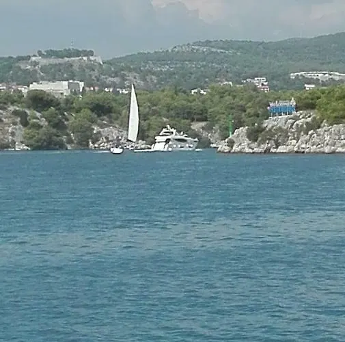 The Palace Mattiazzi Affittacamere